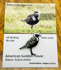Image 1 of American Golden Plover - No.169 - UK Birding Pins