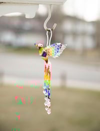 Image 3 of Jalisco Hummingbird 