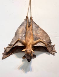 Image 1 of Come Fly with me- Julie Kradel Solo Exhibit