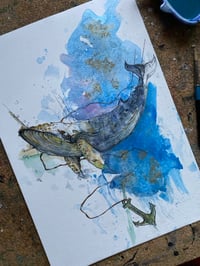 Image 4 of Baleine Encre 