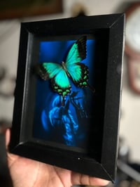 sleep token swallowtail