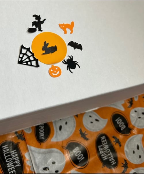 Image of October ‘SPOOKY Halloween’ enrichment toy and forage box