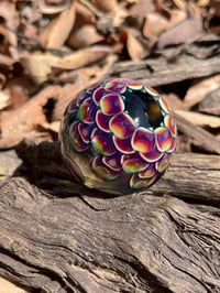 Image 14 of Amber Purple Jungle