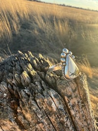 Image 4 of The Ivory Creek