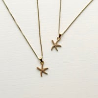 Image 3 of SUMMER COURT STARFISH 