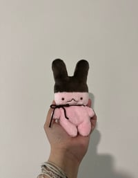 Apollo Bunny 🍓