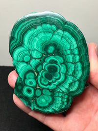 Image 1 of Malachite Polished Specimen | Congo #2820