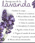 Jabón de Lavander 