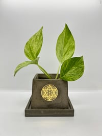 Image 1 of 3”x3” Cement Pot with Drip Plate