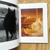 Image 2 of Mark Mahaney - Polar Night