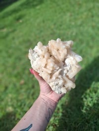 Image 5 of Apophyllite Cluster A