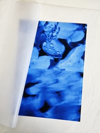 Image 2 of BLUE FLOWERS 