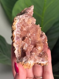 Image 4 of HQ PINK AMETHYST GEODE -ARGENTINA- G
