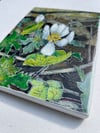 Bloodroot 