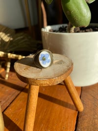 Image 3 of Forget me not rings