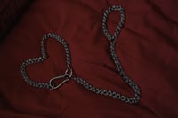 Image 1 of Bound Leash 