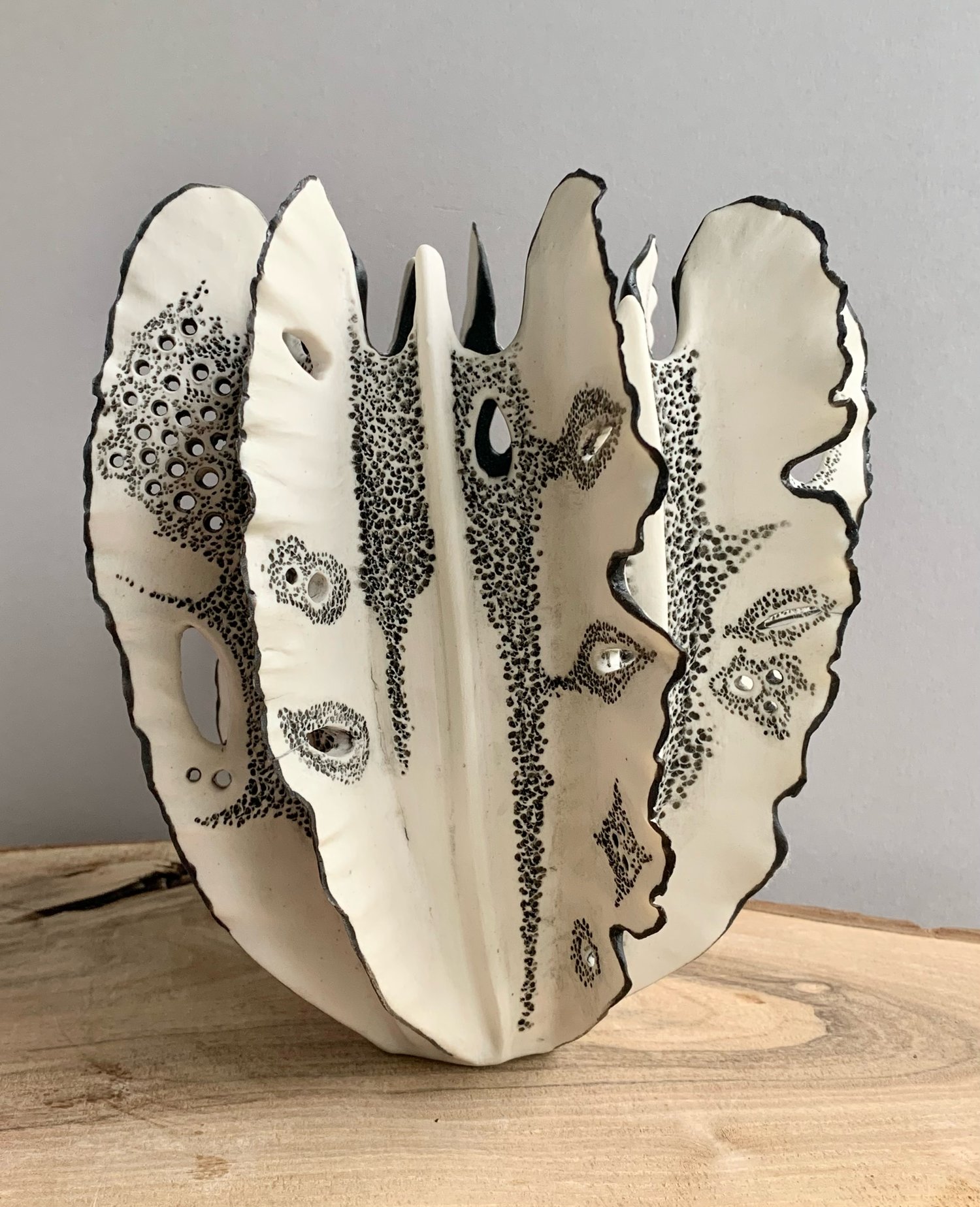 Image of Black and White Coral 