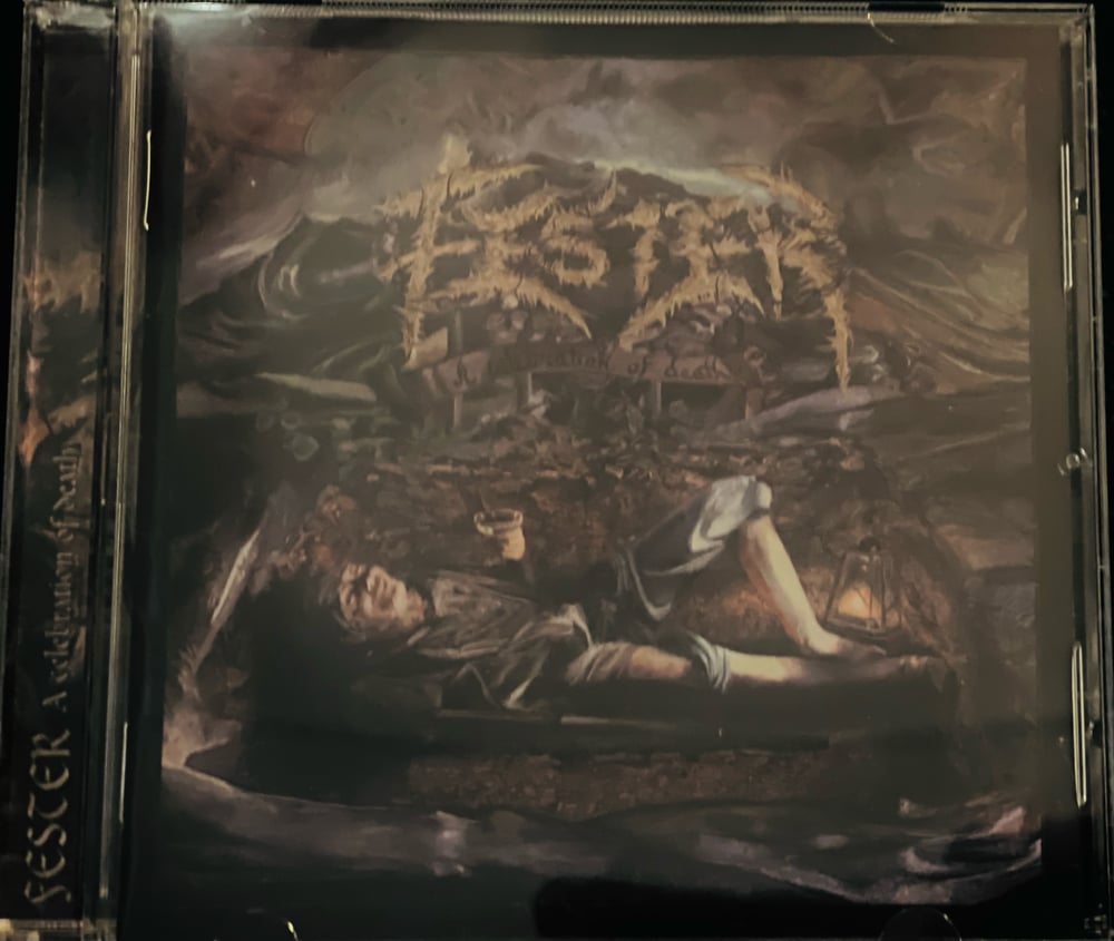 FESTER STUDIOALBUM BUNDLE