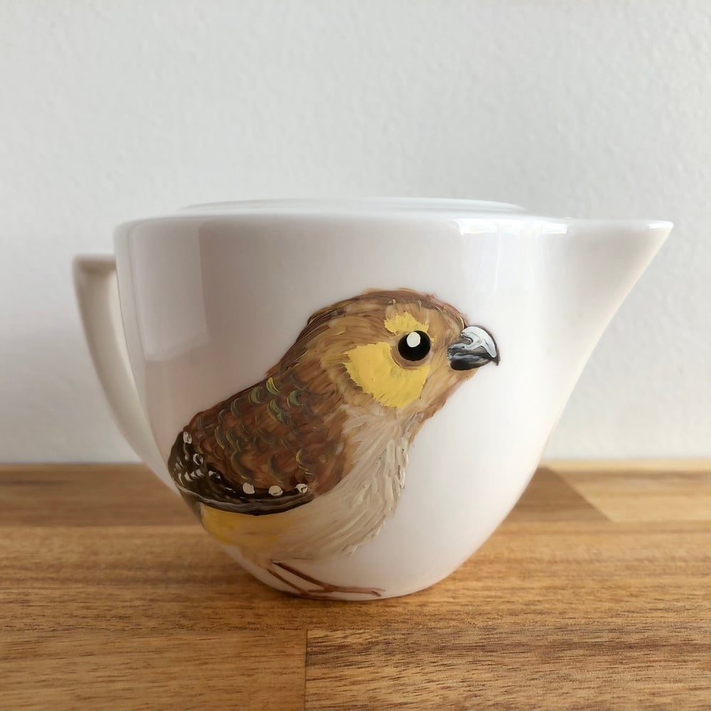 Forty-spotted Pardalote Milk Jug