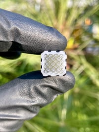 Image 7 of BRICK TIP UV glass