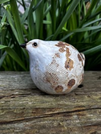 Image 1 of GROUP CLASS / MAY (11th) : Hand built Birds, 2hrs