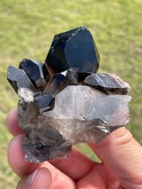 Image 4 of Smoky Quartz Points Cluster #2000