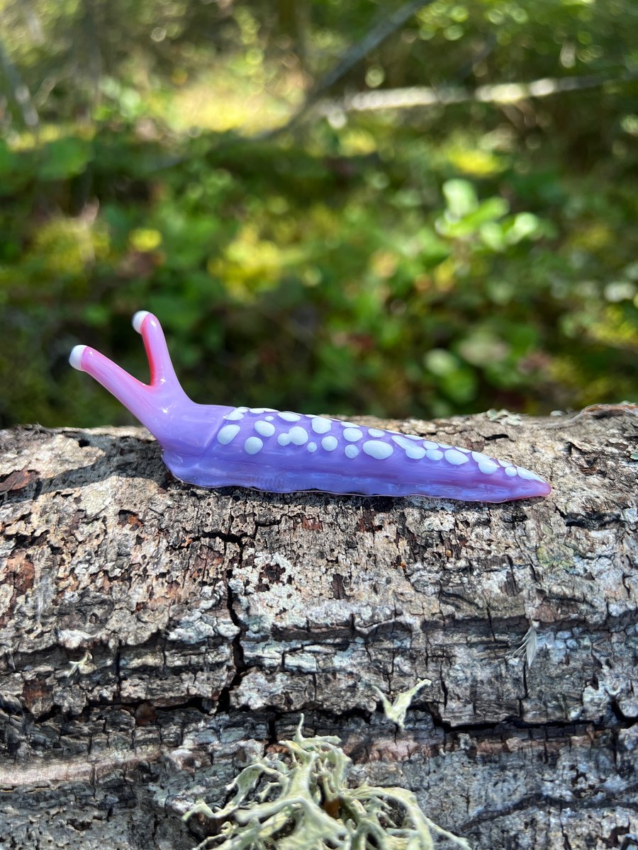 Image of Purple Boro Slug