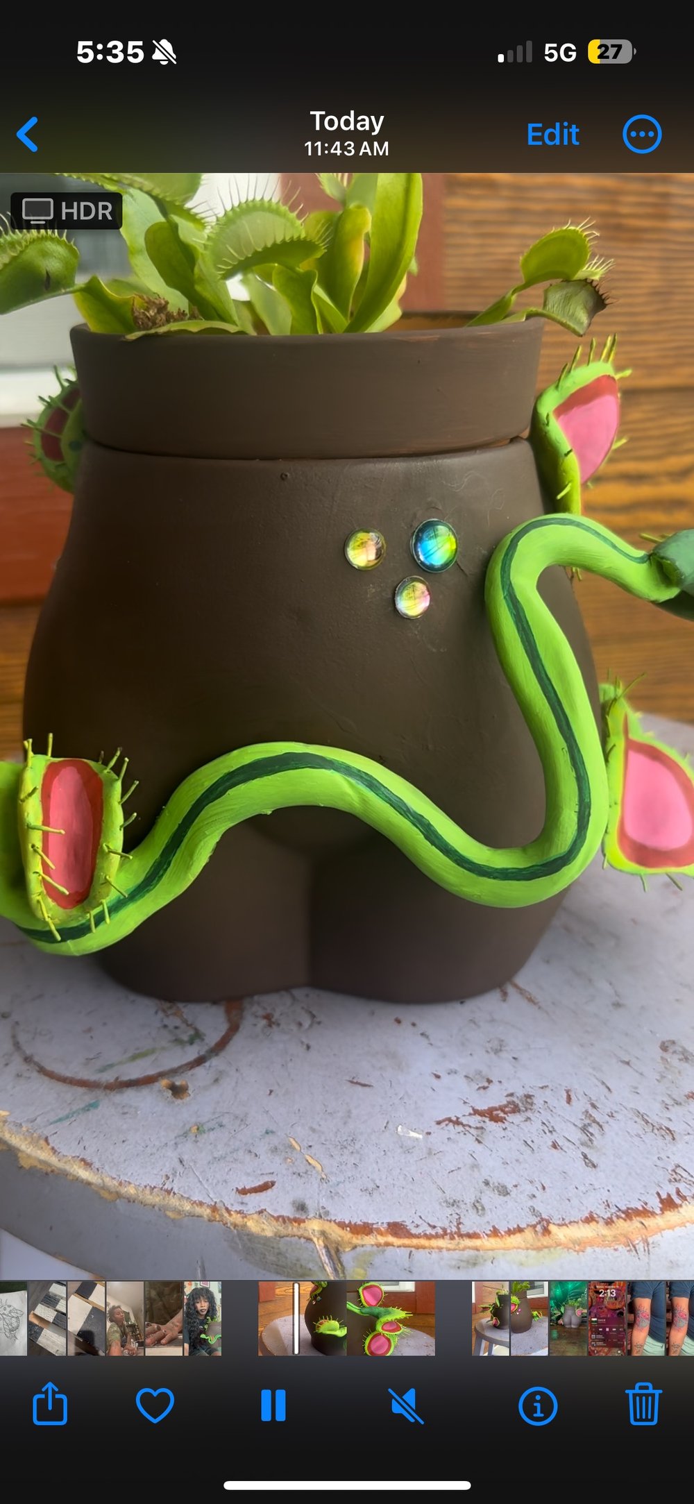 Image of Venus fly trap planter 