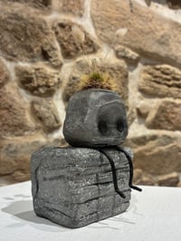 Image 2 of STONS #1 Espera