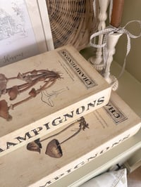 Image 2 of Wooden Book Storage ( 2 sizes )