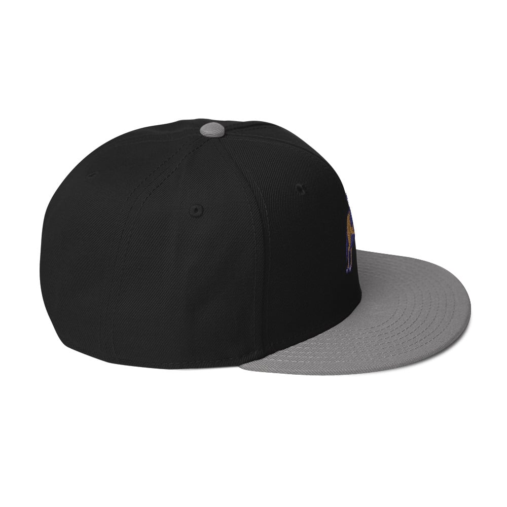 ZEN EXP - Racehorse Snapback Hat