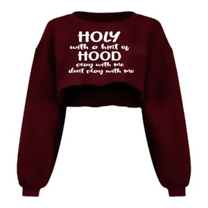 Image of Holy With A Hint Of Hood Crop Sweatshirt 