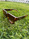 Tortoise Brown Sunglasses 
