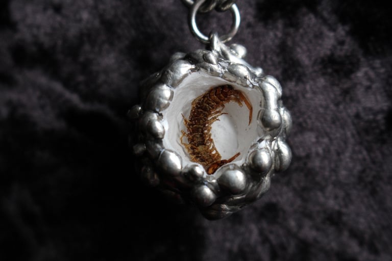 dead good centipede necklace Image 9