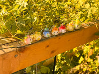 Image 2 of Fruit bears 