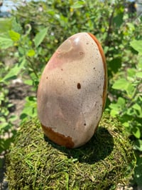 Image 2 of Polychrome Jasper Freeform