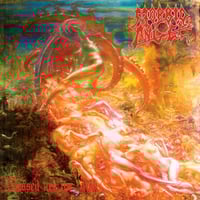 Image 1 of Morbid Angel - Blessed are the Sick