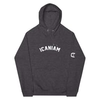Image 5 of Icaniam “Champion Logo” Unisex eco raglan hoodie