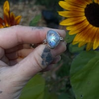 Image 1 of Rainbow Moonstone Ring~8