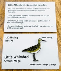Image 1 of Little Whimbrel - No.178 - UK Birding Pins