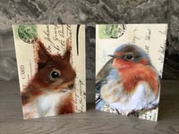 Image 2 of Christmas Robin & Squirrel 