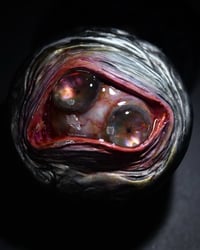 Image 15 of The incredible Double Iris Spice Grinder OAAK