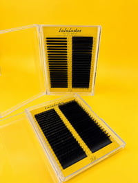 Lalalashes Mixed Tray 8-18.03CC 💛
