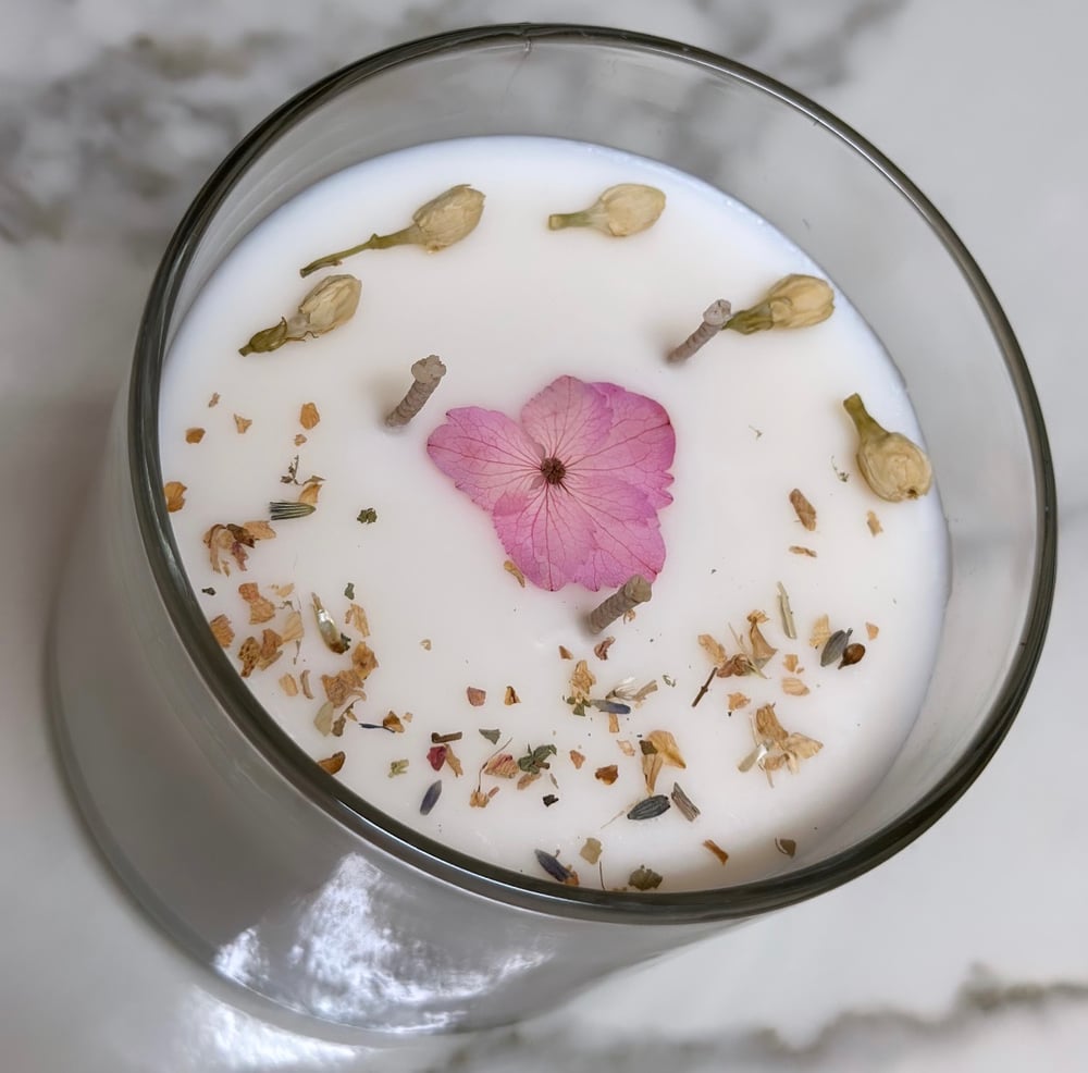 Image of Vanilla Orchid