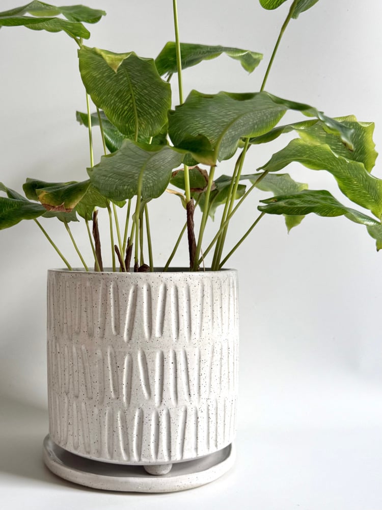 Image of Carved planter 