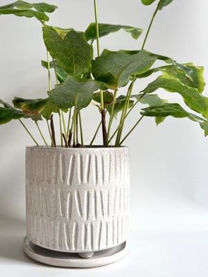Image of Carved planter 