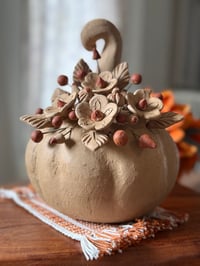 Image 1 of Calabaza Otoño LG 