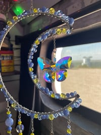 Image 1 of Daisy - Dreamy Moon XL Dream Orbit