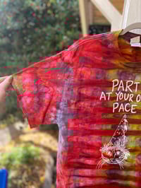 Image 2 of LARGE Party At Your Own Pace Tie Dye Shirt C12