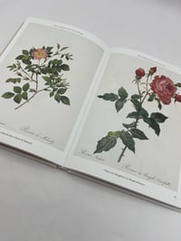 Image 3 of Redouté. Roses